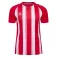 Hummel Match Striped 반팔 티셔츠