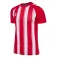 Hummel Match Striped 반팔 티셔츠