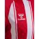 Hummel Match Striped 반팔 티셔츠