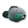 Pure racer Thunder Basic キャップ