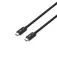 Lindy Thunderbolt kabel 1 m