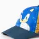 Sonic Sonic cap