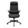 Cougar Chaise gaming Stryder