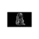 Steelseries Arctis Nova 7X Wireless Gen 2 Gamingheadset