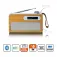 Lenco PDR-040EF Digitalradio