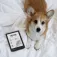 Pocketbook Verse E-Book