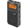 Sangean DT-800 Digitalradio