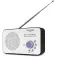 Technisat Viola 2 Digitale radio