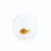 Balvi Vaso Atlantis Fish