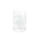 Balvi Atlantis Shell 玻璃杯 300 ml
