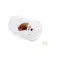Balvi Salero Atlantis Shell