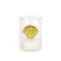 Balvi Saler Atlantis Shell