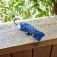 Balvi Koi Fish umbrella