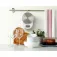 Eta Mari 2.6L Kitchen Scale