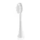 Eta Sonetic Electric Brush Replacement