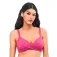 Gisela Cups B-C-D bikinitop