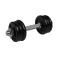 Softee 10 kg dumbbell