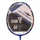 Softee B2500 badmintonracket