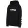 Hummel Moletom com capuz Regular Logo