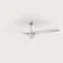 Evvo V522 Deckenventilator
