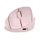 HP Tilt 720M Wireless Ergonomic Mouse