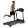 Finnlo Endurance IV treadmill