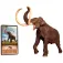 Diverse Diplodocus 1:40 figur