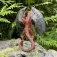 Safari ltd Jersey Devil Rysunek