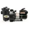 Zodiac E30iQ 100 variable speed pump
