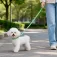 Nobleza Basic Camouflage 犬のリード 各種