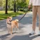 Nobleza Basic Solid Color dog leash assorted