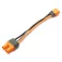 Spektrum IC3 to IC2 Sovitin