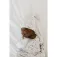 Copper pearl Gorro Arlo