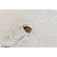 Copper pearl Gorro Arlo