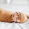 Copper pearl Gorro Camel