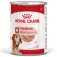 Royal canin Vådfoder til ældre hunde