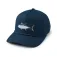 Pelagic Boné Upswell Lines