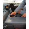 Railblaza 360º lys
