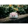 Kimento Cat Chambers kamera