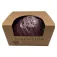 Play and store PAS-022 Kask