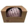 Play and store Casco PAS-022