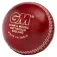 Gunn and moore Catalyst junior cricketbal