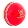 Readers Supaball Training junior cricketbold