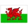 Plastimo Wales´ flag