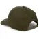 Black cat Green Flat Peak cap