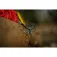 Black cat Real Worm Teaser Red Weicher Köder 160g