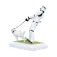Nemesis now Stormtrooper Rysunek