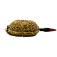 Baitnow Method Feeder Pumpqin Grundfutter 800g