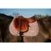 Equitheme Nacre Satulahuopa