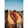 Equitheme Mantilla Nacre